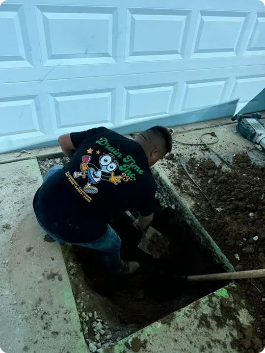 What To Expect Image