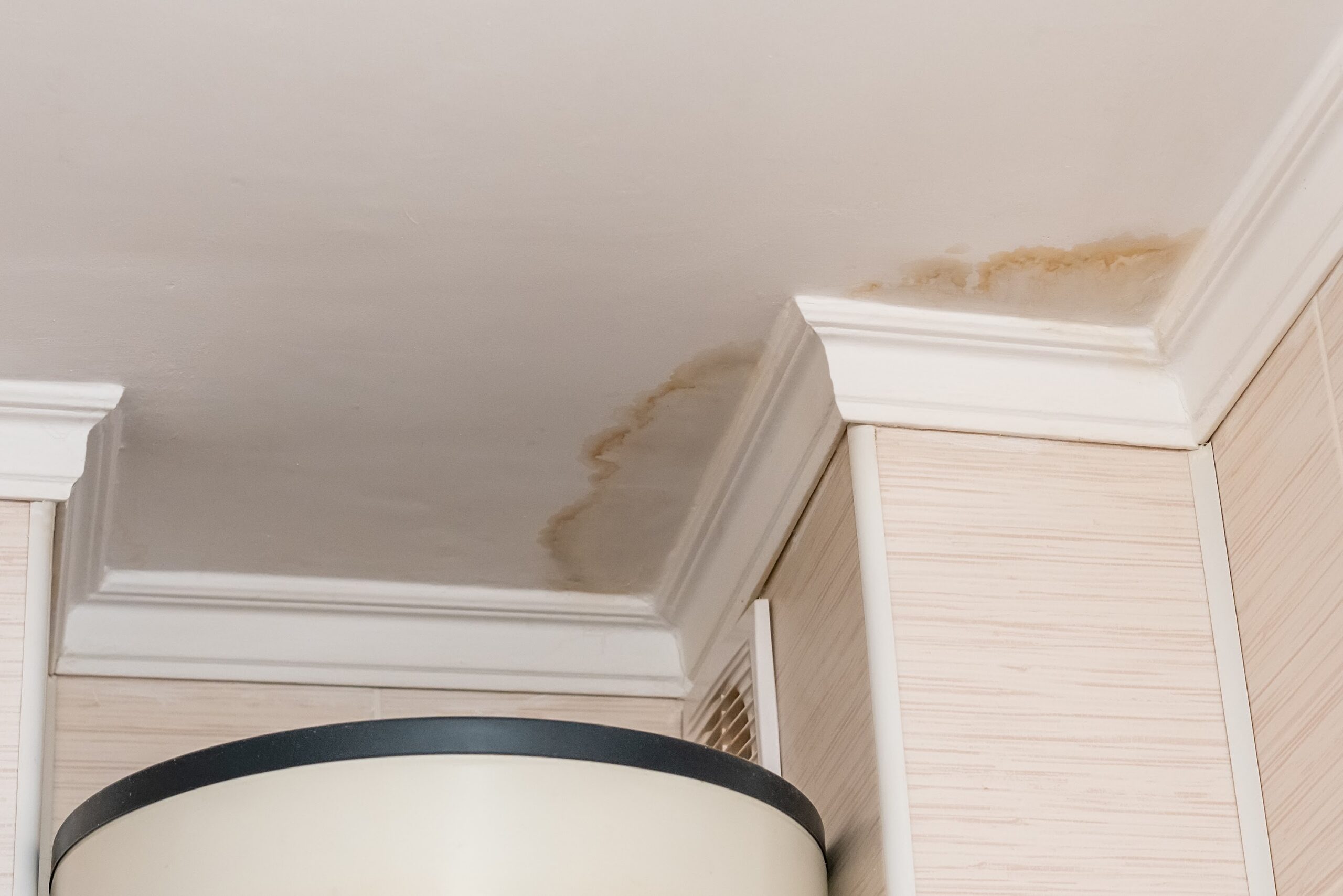 How to Spot a Hidden Water Leak Before It Causes Major Damage